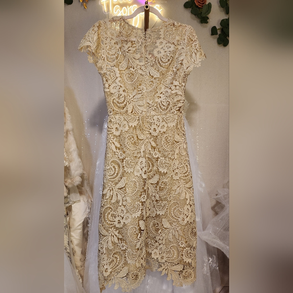 NWT Johnny Was Size 6 RARE Ivory Lace & Sequin Cocktail Midi Dress - Picture 5 of 11